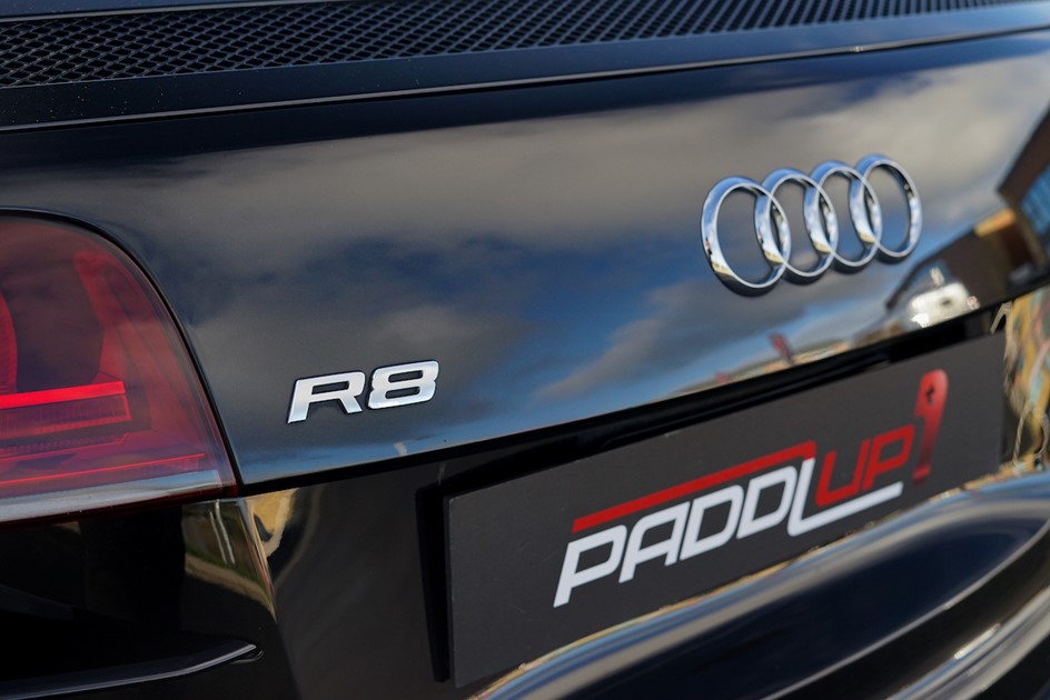 Audi R8 badge on the rear of the V10 car